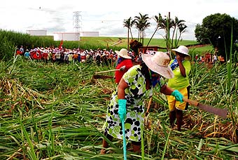 Trabalhadoras na terra junto a depósitos da Cosan (Foto: João Zinclar - 10março09)
