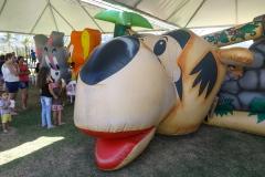 FESTA JULINA CEFOL - PEDRO AMATUZZI FOTOGRAFIA-1-65